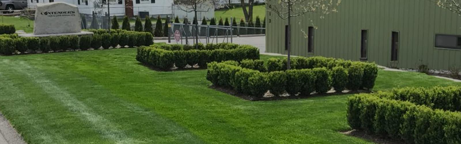 Contender's Tree & Lawn Specialists: Contact Us