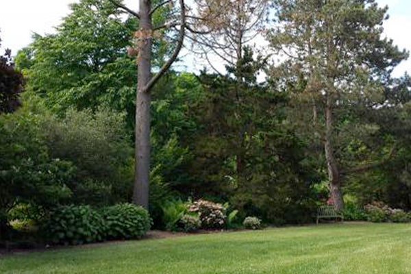 Clarence E. Lewis Arboretum