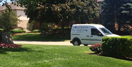 Contender's Tree & Lawn Specialists: Quality Service