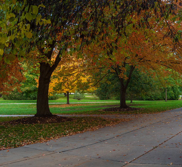Michigan Fall