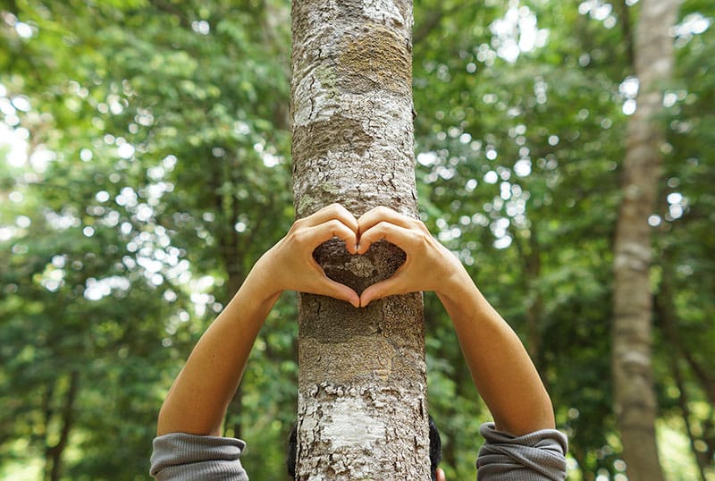 tree care company